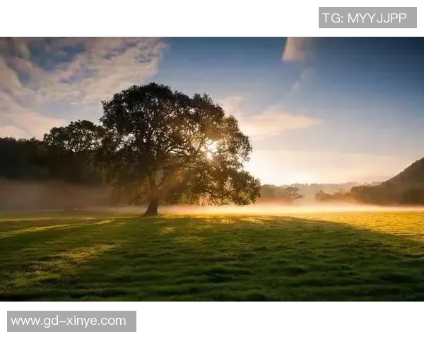 周芳的足球人生深度对话:从绿茵场到人生舞台的精彩旅程 周芳的足球人生深度对话:从绿茵场到人生舞台的精彩旅程