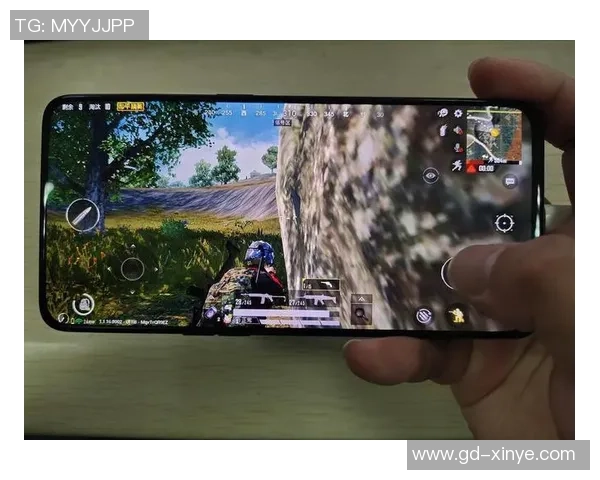 最新和平精英耐力排行榜揭晓BLG战队强势领跑前十名 最新和平精英耐力排行榜揭晓BLG战队强势领跑前十名