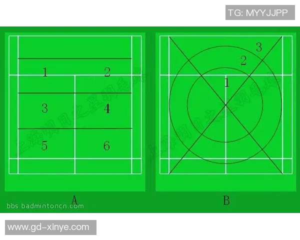 西安羽毛球队与深圳羽毛球队赛后分析力量对比与战术探讨