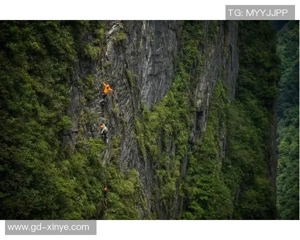 重庆攀岩队反击之路:挑战与收获的深度剖析与思考 重庆攀岩队反击之路:挑战与收获的深度剖析与思考